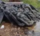 Naga statues on krishna river bank becomes talk of the town in Guntur district