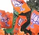 Warangal BJP seniors forms JAC