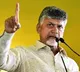 TDP demands thorough probe into death of Jr NTR’s fan