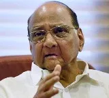 Sharad Pawar reaction on KCRs visit to Maharashtra with big convoy