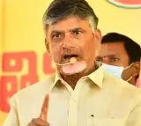 TDP Chief Chandrababu Called Swathi Reddy