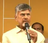 Chandrababu held meeting with TDP senior leaders