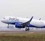If You Invested rs 10000 In Indigos IPO and now how much youd Have Today