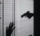 Ex-serviceman creates panic with revolver in Andhra village
