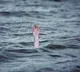 Telangana woman jumps into dam with three children