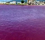 River in Nago City Japan turns red after food colouring leak