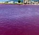 River in Nago City Japan turns red after food colouring leak