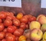 tomato price shoots up toTomato Price Shoots Up To Rs 124 per kg