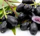health benefits with Jamun fruit