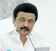 Yes we are doing family politics says Stalin