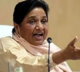 Not opposed to UCC But Dont Support Mayawati swipe at BJP