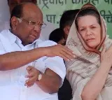 Sonia Gandhi make phone call to sharad pawar after mutiny in NCP