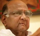 Sharad Pawar is NCP national president says Ajit Pawar