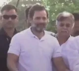 Minister Jagadish Reddy comments on Rahul Gandhi