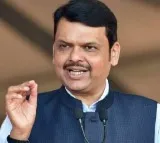 Devendra Fadnavis comments on NCP split