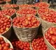 Tamil Nadu Govt starts sell tomato in ration shops rs 60 per kg