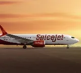 SpiceJet flight from Dubai to Cochin found to have burst tyre