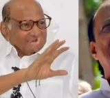 Sharad Pawars NCP and Ajit Camp orders MLAs to attend meet today