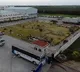 Ammonia gas leak in munnangi seafoods factory in Prakasham District