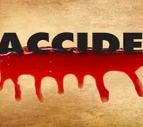 29 killed after bus plunges off cliff in Mexico