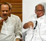 Removed Sharad Pawar As NCP National Chief Says Ajit Pawar