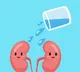 How water helps kidneys well being