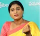 YS Sharmila registered her lands on sons name