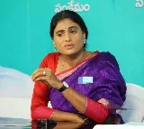 YS Sharmila thanked Rahul Gandhi