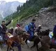Amarnath Yatra Halted For Second Successive Day As Heavy Rain Continues In Kashmir