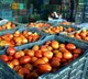 'Tomato Trouble': UP vegetable vendor hires bouncers to keep himself safe