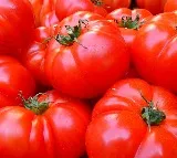 Madhya Pradesh Man Offers Two Kilos Tomatoes Free For Every One Mobile Purchage