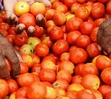 Vehicle transporting tomatoes to market robbed in Bengaluru