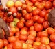 Vehicle transporting tomatoes to market robbed in Bengaluru