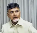 TDP Chief Chandrababu shocked over Darshi road accident