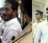 Kodi Kathi Case Trail In Vijayawada Court
