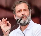 Rahul Gandhi may shift to south Delhi and It has a Sheila Dikshit link