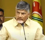 chandrababu comments on volunteers