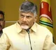 chandrababu comments on volunteers