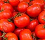 Meet Karnataka farmer who earned Rs 38 lakh selling expensive tomatoes