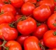 Meet Karnataka farmer who earned Rs 38 lakh selling expensive tomatoes