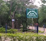 Woman cine producer assulted in KBR park