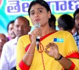 YS Sharmila on podu land pattas