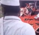 Security for Tomato in Hyderabad