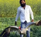 Arif Visits Allen Forest Zoo To Meet His Friend Sarus Crane