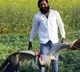Arif Visits Allen Forest Zoo To Meet His Friend Sarus Crane