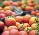 Pune tomato farmer earns over one crore in one month