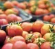 Andhra Farmer Guarding Tomatoes Strangled  Second Such Death In A Week