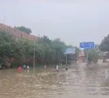 Snakes spotted in Delhi flood water
