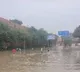 Snakes spotted in Delhi flood water