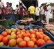 Govt cuts price of subsidised tomato to Rs 70 per kg with effect from Thursday